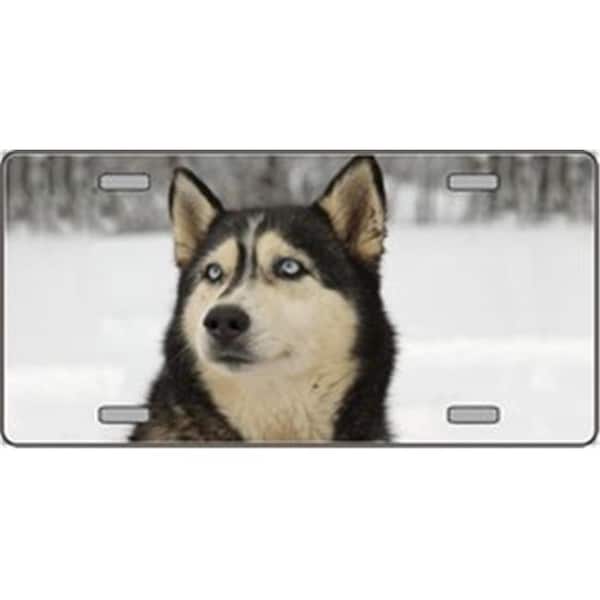 Powerhouse Husky Dog Pet Novelty License Plates- Full Color Photography License Plates PO686174 - main